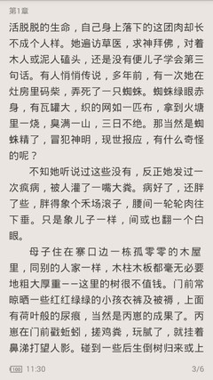 哪些签证可以在菲律宾长期工作(9G工签介绍)